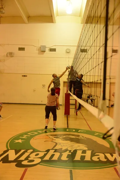 DSC_1684 (Large).JPG